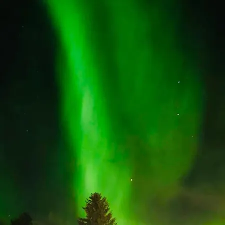 아파트 Center Of *